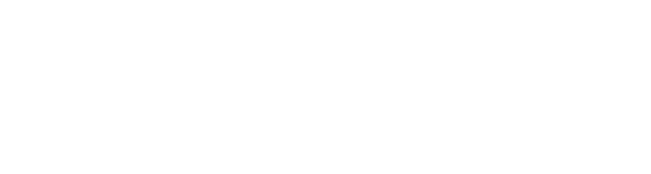 VB SPORTS logo